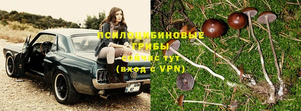 марки nbome Алзамай